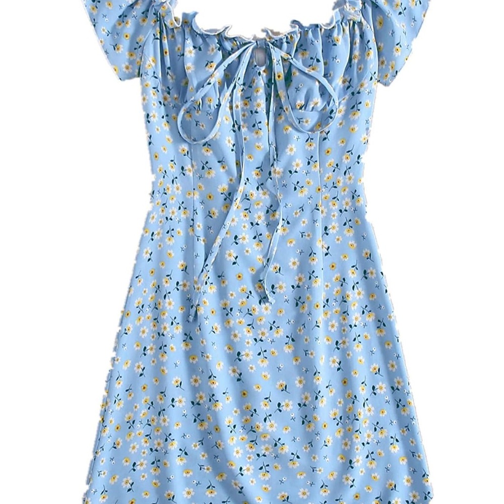 Blue Daisy Floral Mini Dress – Size Small